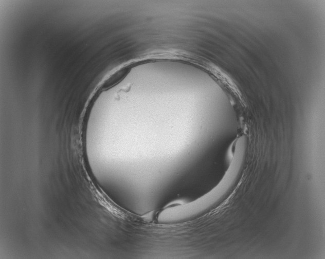 X0000082741192200702161925