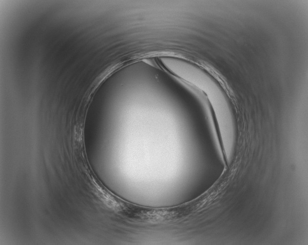 X0000082741193200702161925