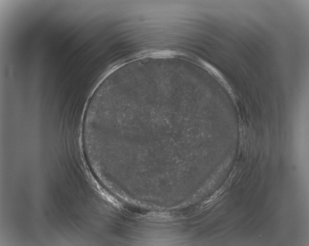 X0000082741194200702161925