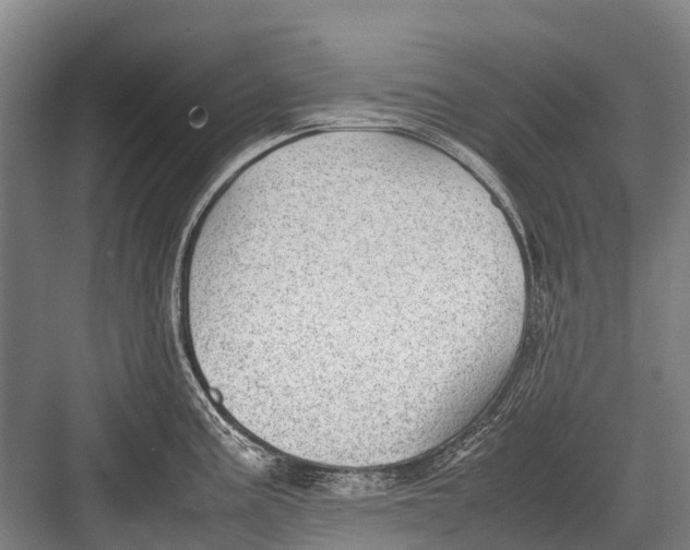 X0000082741195200702161925