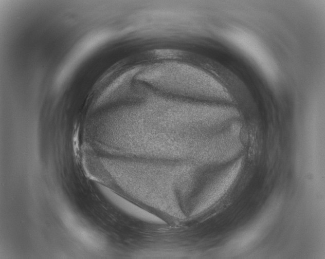 X0000082741198200702161925