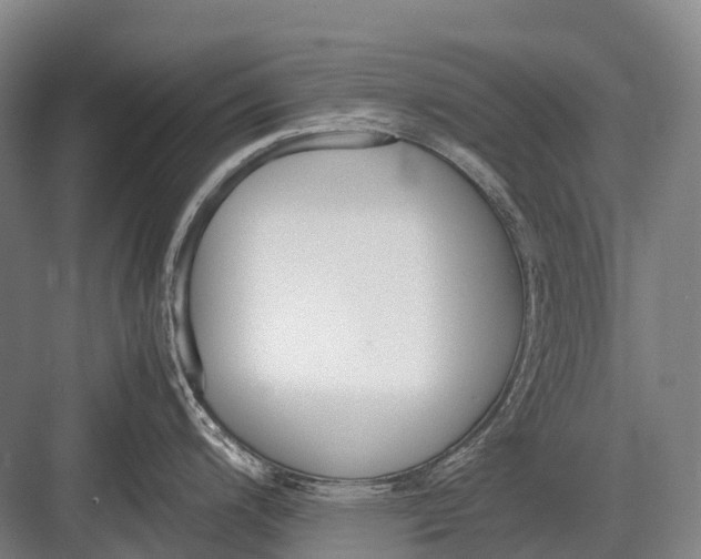 X0000082741200200702161925