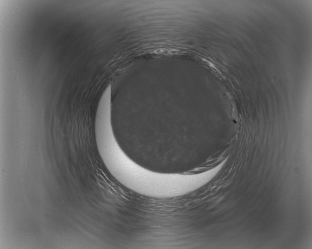 X0000082741202200702161924