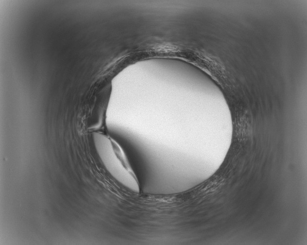 X0000082741205200702161924