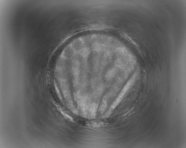 X0000082741208200702161924