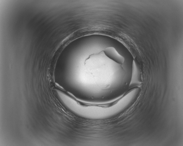 X0000082741210200702161924