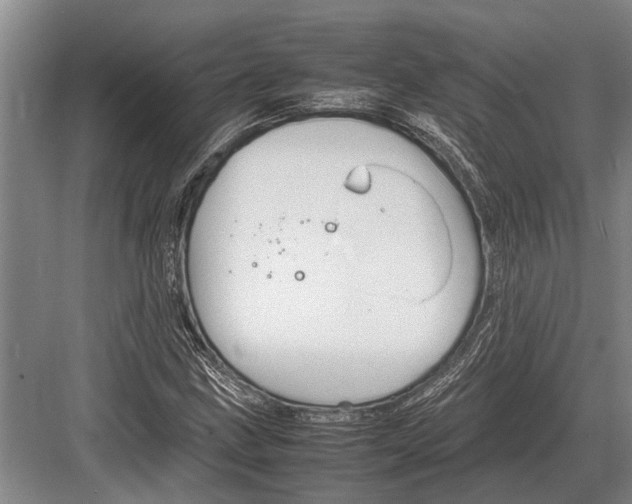 X0000082741211200702161924