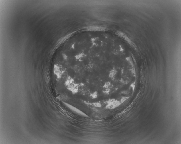 X0000082741213200702161924