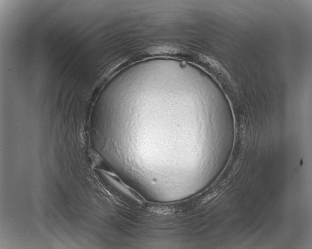 X0000082741217200702161924