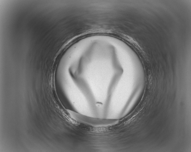 X0000082741220200702161924