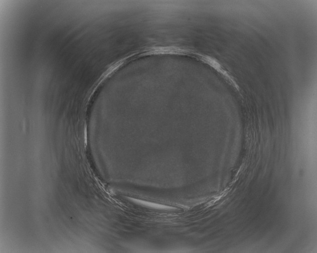 X0000082741221200702161924