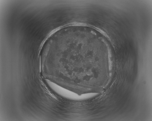 X0000082741223200702161924