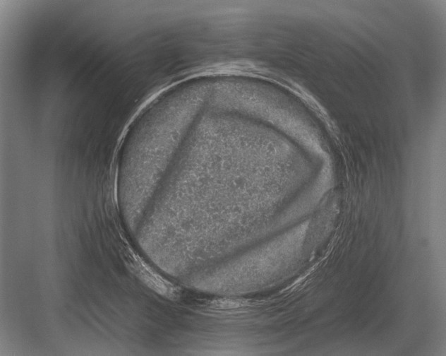 X0000082741224200702161924