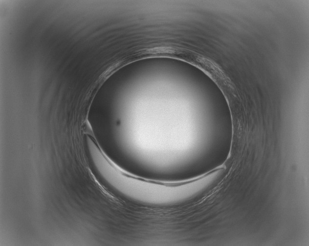 X0000082741225200702161924