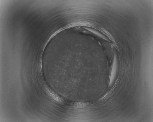 X0000082741226200702161924