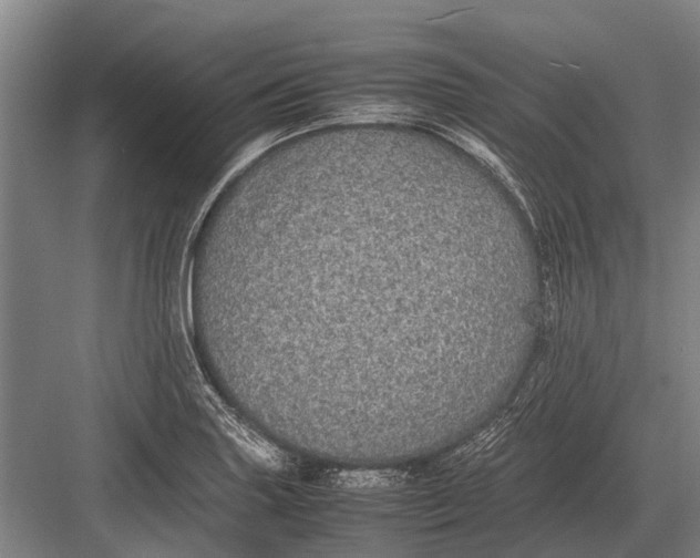 X0000082741227200702161924