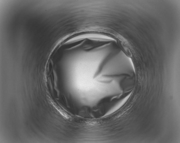 X0000082741230200702161924