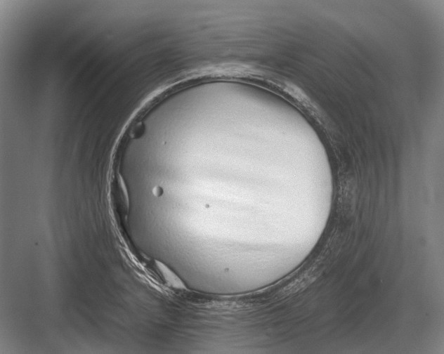 X0000082741232200702161925