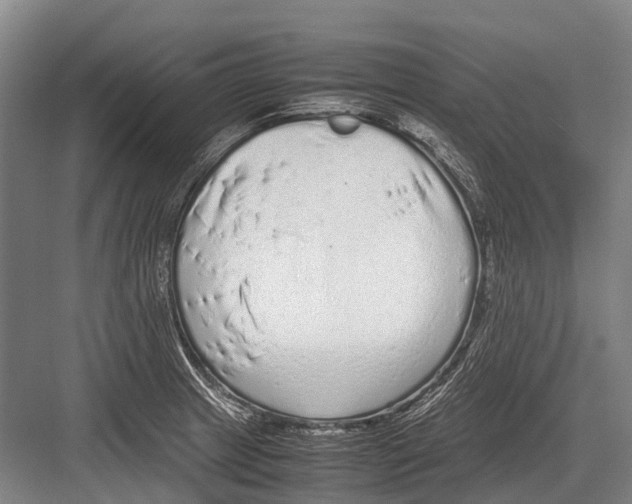 X0000082741233200702161925