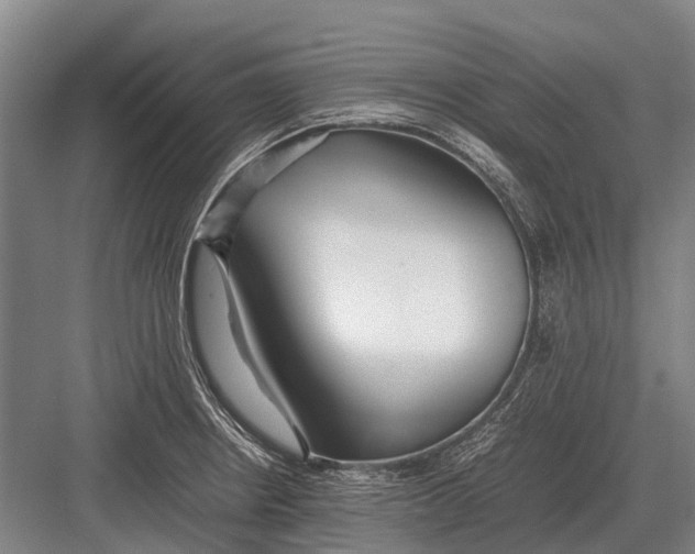 X0000082741234200702161925