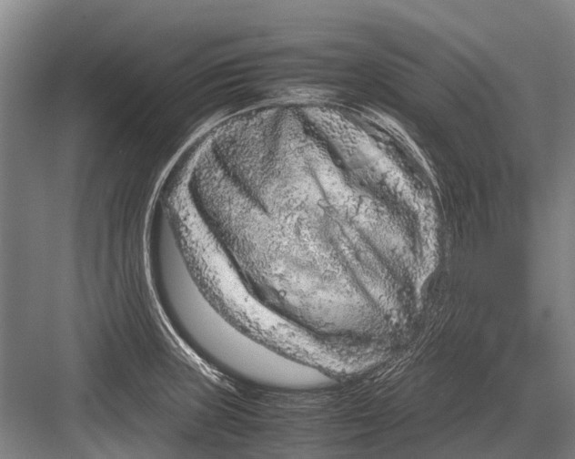 X0000082741235200702161925