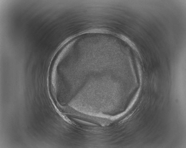 X0000082741237200702161925