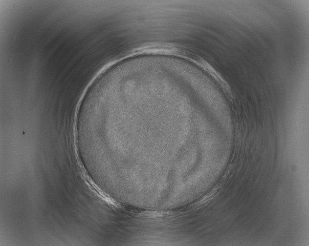 X0000082741240200702161925