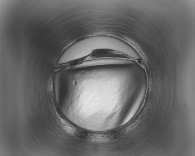 X0000082741241200702161925