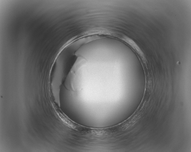 X0000082741242200702161925