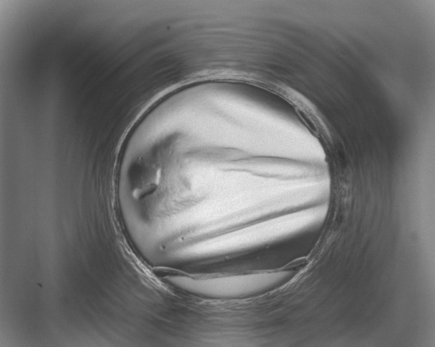 X0000082741244200702161925