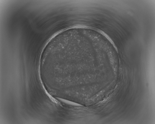 X0000082741245200702161925