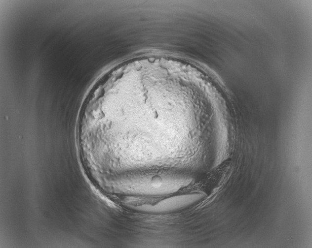 X0000082741247200702161925