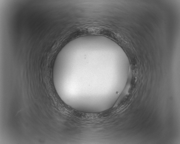 X0000082741249200702161924