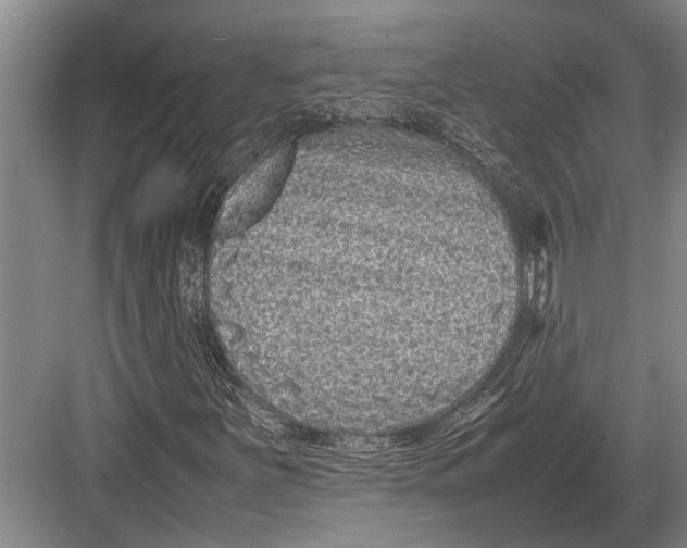 X0000082741251200702161924