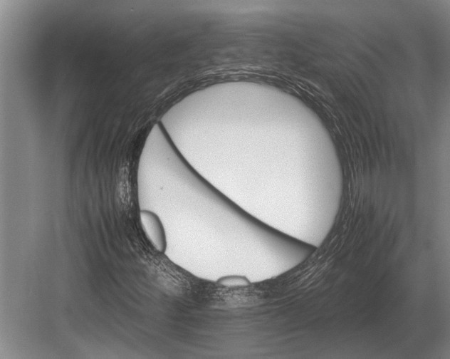 X0000082741252200702161924