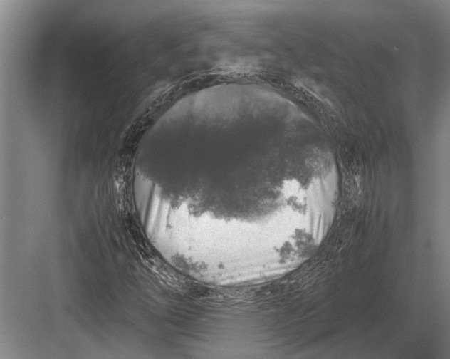 X0000082741254200702161924