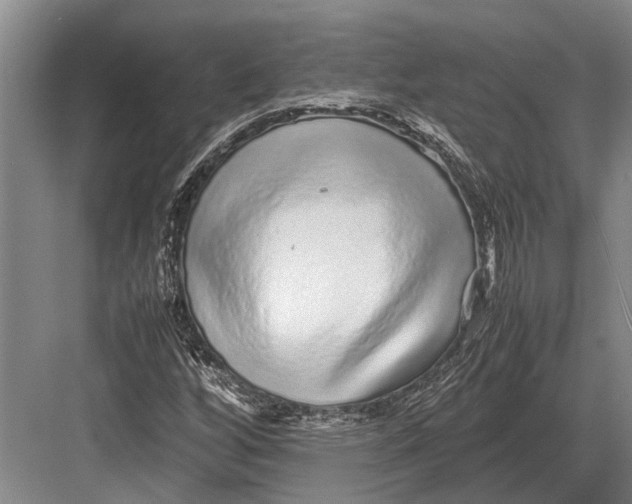 X0000082741256200702161924