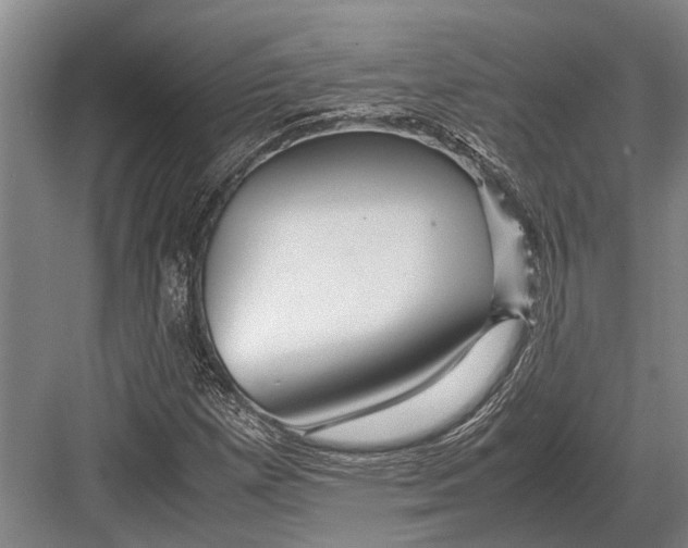 X0000082741257200702161924