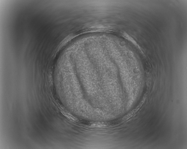 X0000082741259200702161924