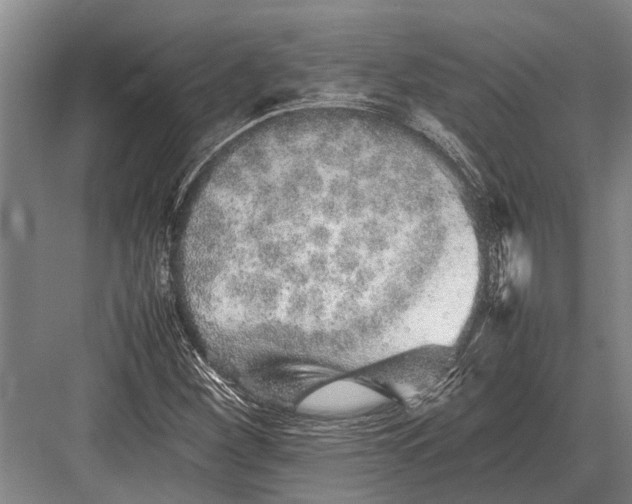 X0000082741260200702161924