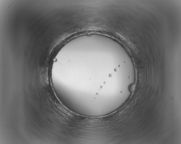 X0000082741262200702161924