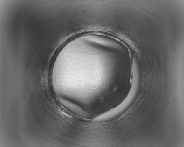 X0000082741264200702161924