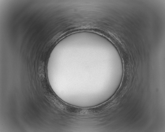 X0000082741265200702161924