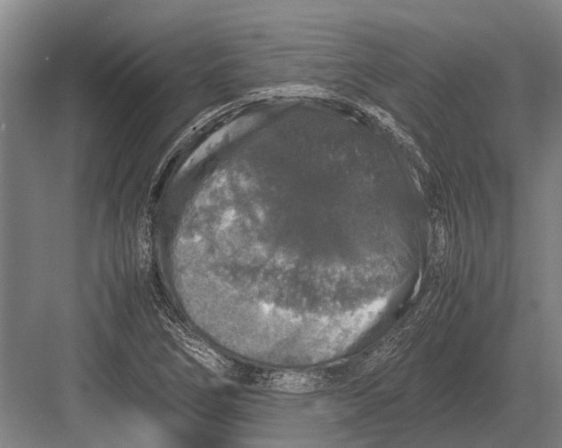 X0000082741266200702161924