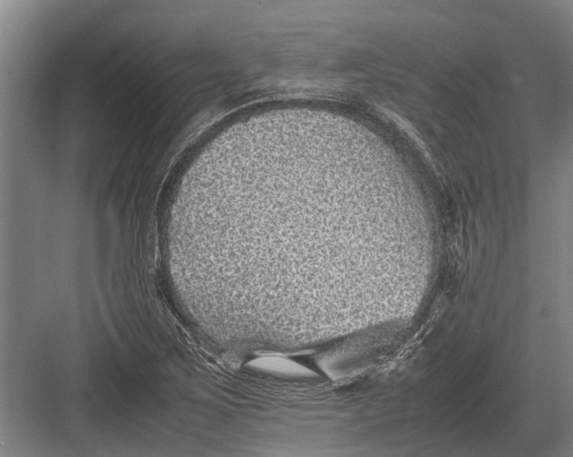 X0000082741267200702161924