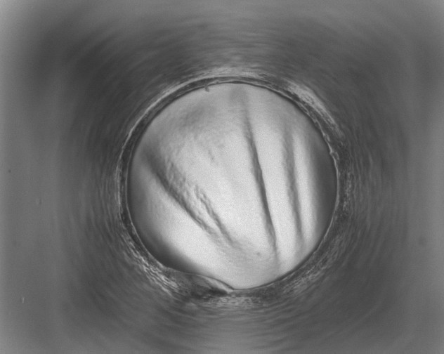 X0000082741268200702161924