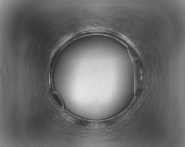 X0000082741269200702161924