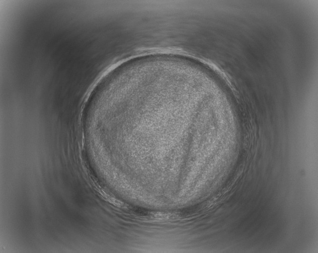 X0000082741271200702161924