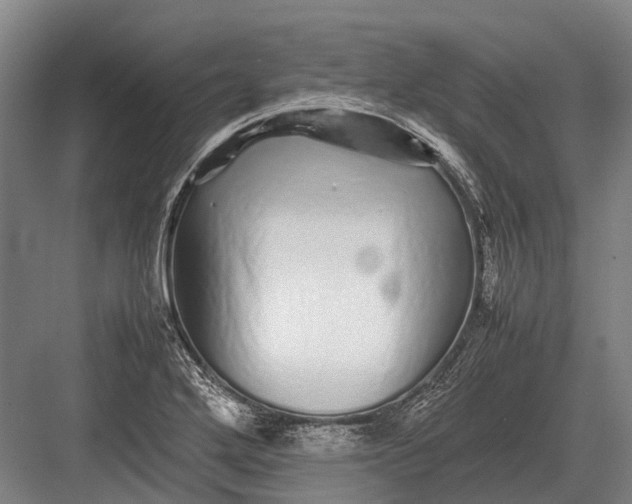 X0000082741272200702161924