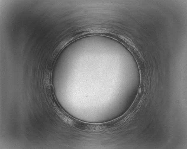 X0000082741273200702161924